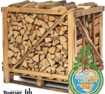 RM PREMIUM Buchen Brennholz | 25cm | kammergetrocknet | auf Palette | 500kg | Kaminholz | 1,6 SRM