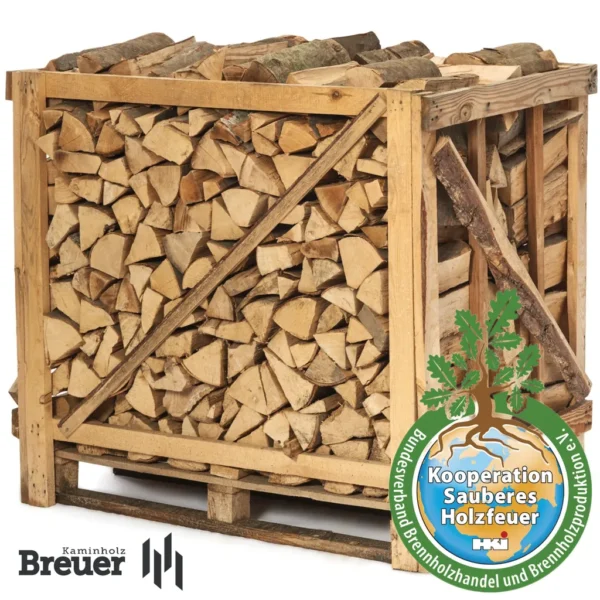 RM PREMIUM Buchen Brennholz | 25cm | kammergetrocknet | auf Palette | 500kg | Kaminholz | 1,6 SRM