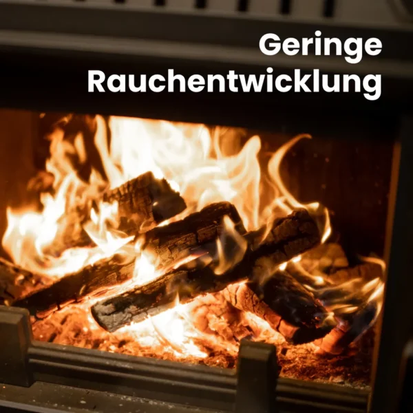 RM PREMIUM Buchen Brennholz | 25cm | kammergetrocknet | auf Palette | 500kg | Kaminholz | 1,6 SRM – Image 4