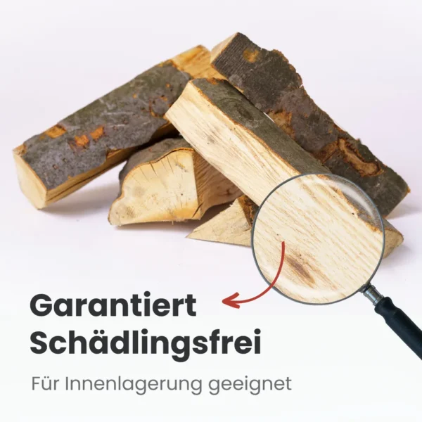 RM PREMIUM Buchen Brennholz | 25cm | kammergetrocknet | auf Palette | 500kg | Kaminholz | 1,6 SRM – Image 5