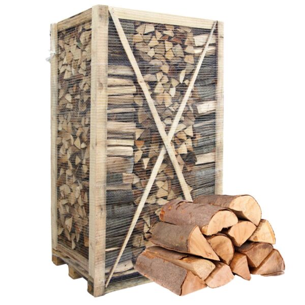 Premium-Brennholz Buche/Hainbuche auf Palette – Ofenfertig & getrocknet